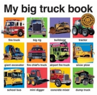 Kniha My Big Truck Book Roger Priddy