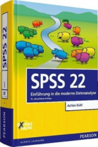 Kniha SPSS 22 Achim Bühl