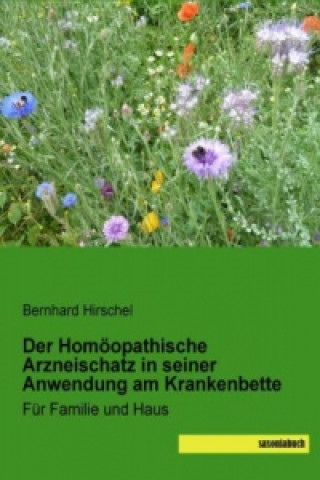 Kniha Der Homöopathische Arzneischatz in seiner Anwendung am Krankenbette Bernhard Hirschel