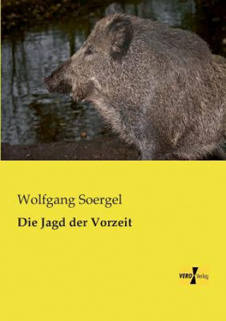 Könyv Jagd der Vorzeit Wolfgang Soergel