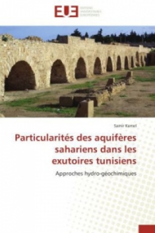 Könyv Particularités des aquifères sahariens dans les exutoires tunisiens Samir Kamel