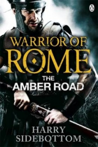 Kniha Warrior of Rome VI: The Amber Road Harry Sidebottom