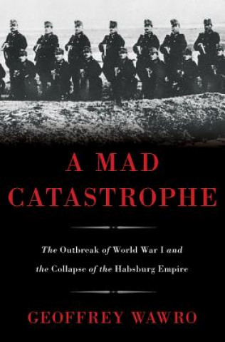 Kniha Mad Catastrophe Geoffrey Wawro