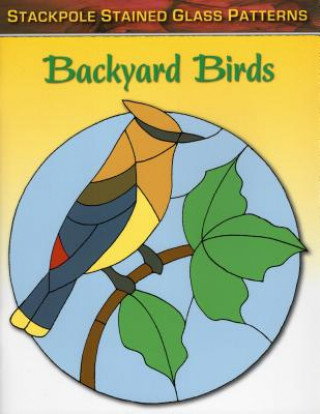 Livre Backyard Birds Sandy Allison