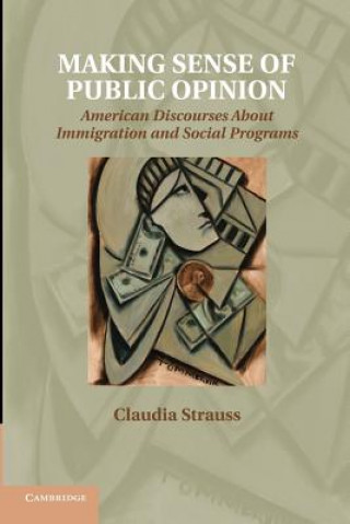 Kniha Making Sense of Public Opinion Claudia Strauss