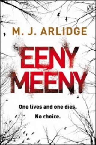 Könyv Eeny Meeny M J Arlidge