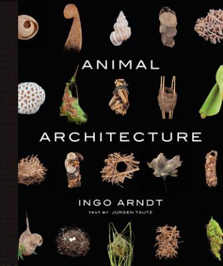 Книга Animal Architecture Ingo Arndt