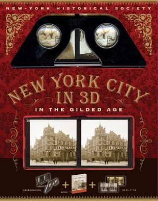 Könyv New York City In 3D In The Gilded Age Dinah Dunn