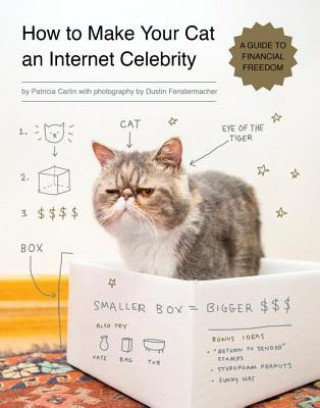 Kniha How to Make Your Cat an Internet Celebrity Patricia Carlin