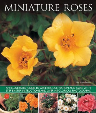 Kniha Miniature Roses Lin Hawthorne