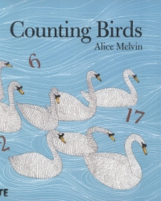 Kniha Counting Birds Alice Melvin