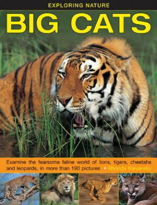 Carte Exploring Nature: Big Cats Rhonda Klevansky