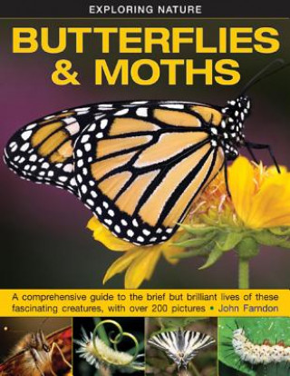 Könyv Exploring Nature: Butterflies & Moths John Farndon