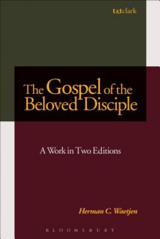 Buch Gospel of the Beloved Disciple Herman C Waetjen