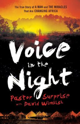 Carte Voice in the Night - The True Story of a Man and the Miracles That Are Changing Africa Surprise Sithole