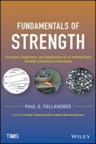 Carte Fundamentals of Strength Paul S. Follansbee