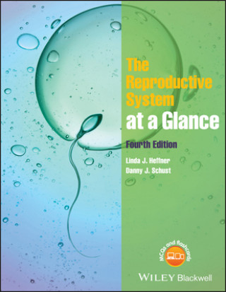 Knjiga Reproductive System at a Glance 4e Linda J. Heffner