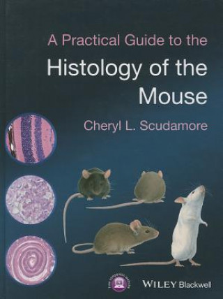 Kniha Practical Guide to the Histology of the Mouse Cheryl L. Scudamore