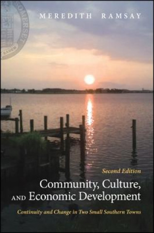 Kniha Community, Culture, and Economic Development Meredith Ramsay