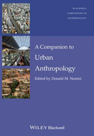 Buch Companion to Urban Anthropology Donald M. Nonini