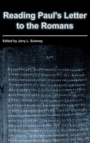 Libro Reading Paul's Letter to the Romans Jerry L. Sumney