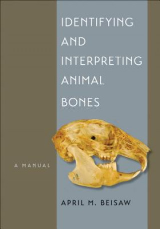 Kniha Identifying and Interpreting Animal Bones April M Beisaw