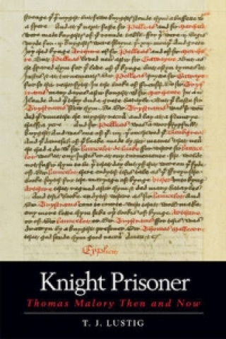 Книга Knight Prisoner T J Lustig