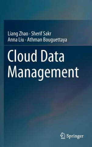 Kniha Cloud Data Management Liang Zhao