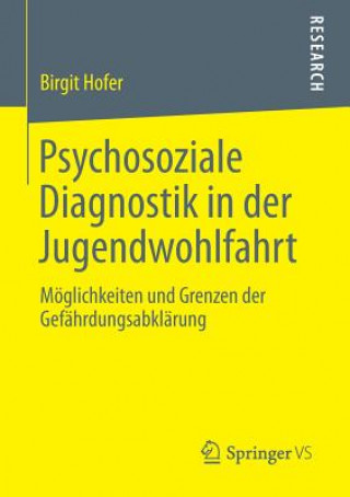 Livre Psychosoziale Diagnostik in Der Jugendwohlfahrt Birgit Hofer