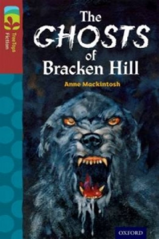 Książka Oxford Reading Tree TreeTops Fiction: Level 15: The Ghosts of Bracken Hill Anne Mackintosh