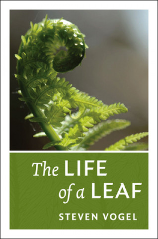 Book Life of a Leaf Steven Vogel