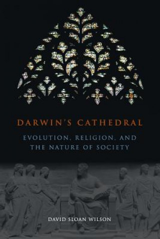 Könyv Darwin`s Cathedral - Evolution, Religion, and the Nature of Society David Sloan Wilson