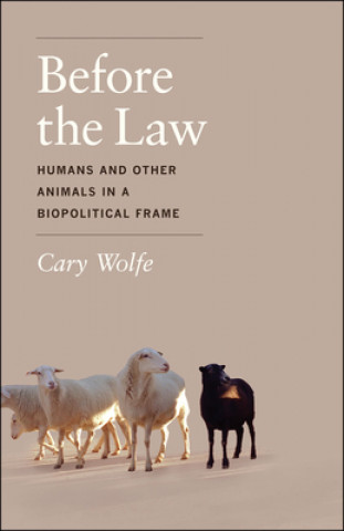 Kniha Before the Law Cary Wolfe