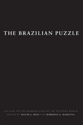 Kniha Brazilian Puzzle David J Hess