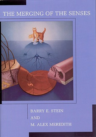 Livre Merging of the Senses B E Stein