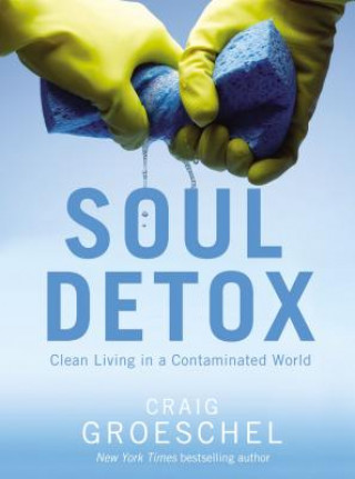 Könyv Soul Detox Craig Groeschel