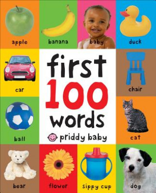 Książka First 100 Words Roger Priddy