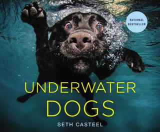 Carte Underwater Dogs Seth Casteel