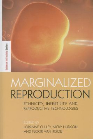 Buch Marginalized Reproduction Lorraine Culley