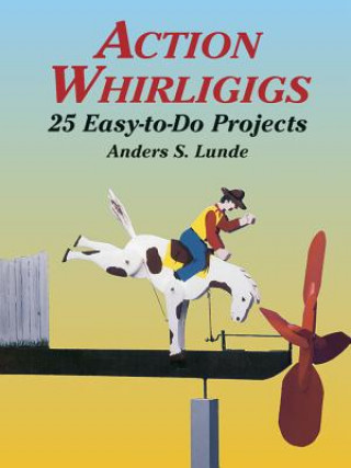 Book Action Whirligigs Anders S Lunde
