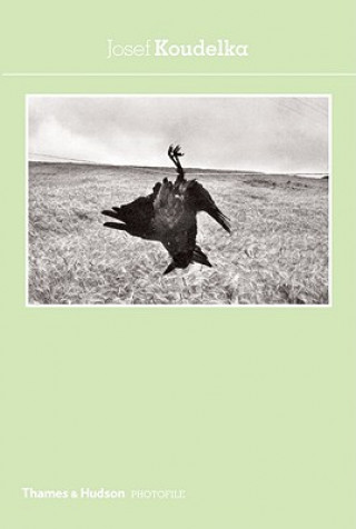 Knjiga Josef Koudelka Photofile Bernard Cuau