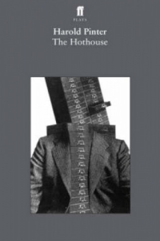 Könyv Hothouse Harold Pinter