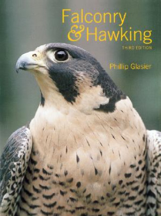 Kniha Falconry and Hawking Phillip Glasier