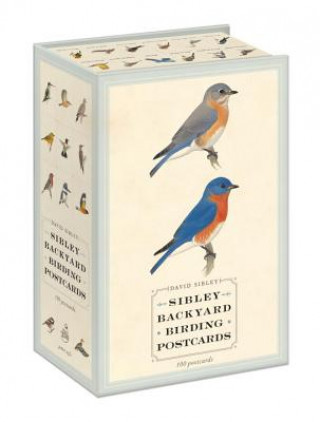Tiskovina Sibley Backyard Birding Postcards David Sibley