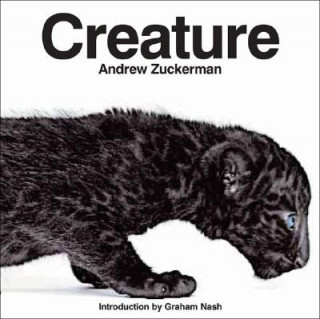 Book Creature Andrew Zuckerman