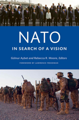 Kniha NATO in Search of a Vision Gulnur Aybet