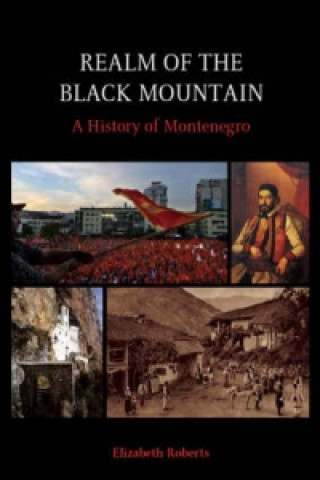 Kniha Realm of the Black Mountain Elizabeth Roberts