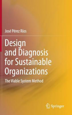 Buch Design and Diagnosis for Sustainable Organizations Jose Perez Rios