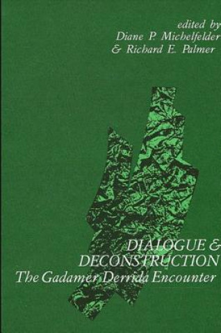 Книга Dialogue and Deconstruction Diane P Michelfelder