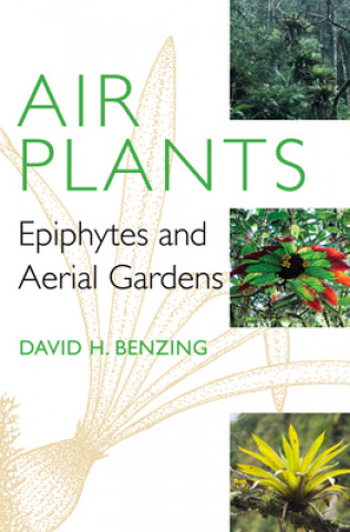 Kniha Air Plants David H Benzing